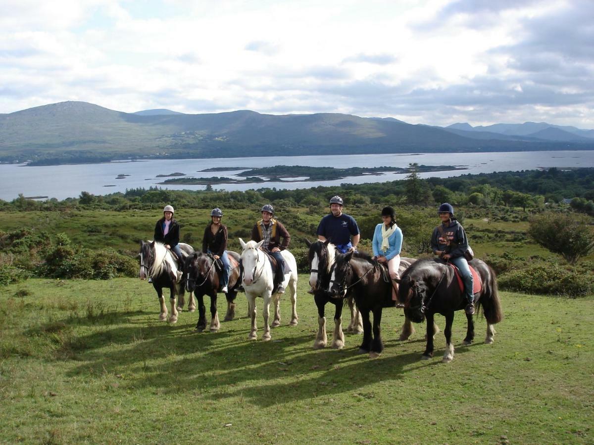 Bed and Breakfast Gortnaboul House Kilgarvan Exterior foto